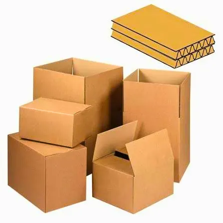 Carton double